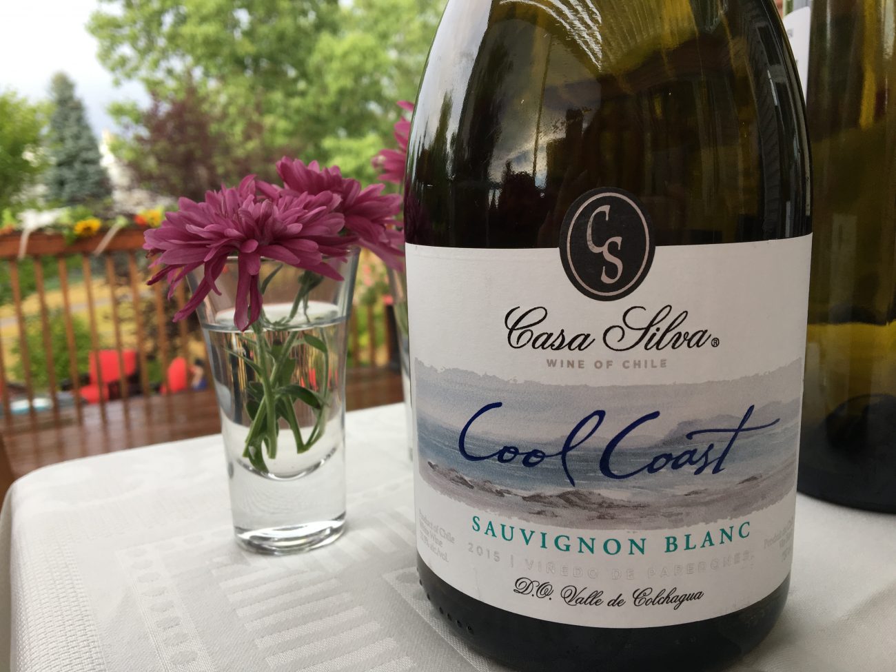 Casa Silva – Cool Coast Sauvignon Blanc – 2015 (Willow Park)